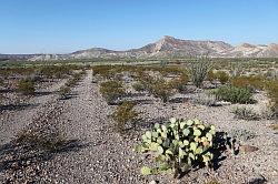 Big Bend Ranch National Park