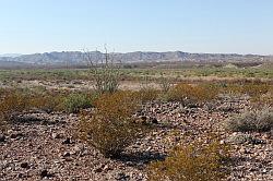 Big Bend Ranch National Park