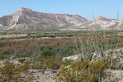 Big Bend Ranch National Park