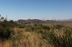 Big Bend National Park