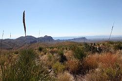 Big Bend National Park