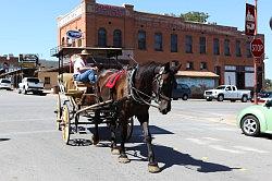 Forth Worth Stock Yards