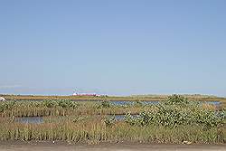 Galveston - moerasland aan de oostkant van het eiland met een olietanker op de achtergrond