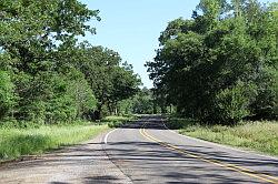 Sabine national forest