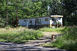 Sabine national forest