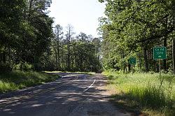 Sabine national forest