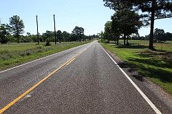 Sabine national forest