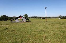 Sabine national forest