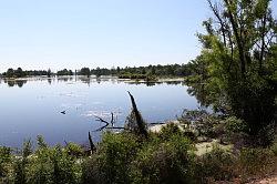 Sabine national forest