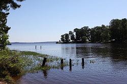 Sabine national forest