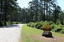 Sabine national forest