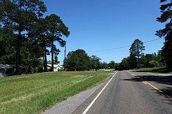 Sabine national forest