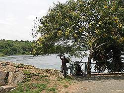 Jinja: source of the nile - de rivier