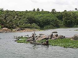 Jinja: source of the nile - vissers