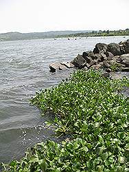 Jinja: source of the nile - het Victoria meer