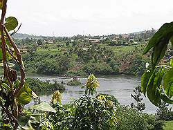 Jinja Nile resort