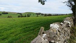 Forest of Bowland