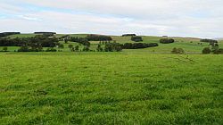 Forest of Bowland