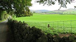 Forest of Bowland