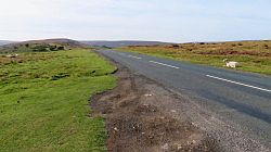 North York Moors