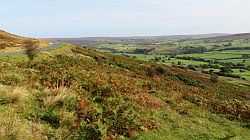 North York Moors