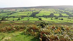 North York Moors