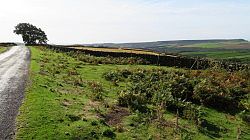 North York Moors