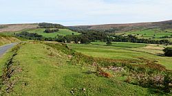 North York Moors