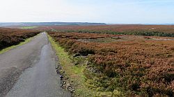 North York Moors