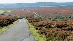 North York Moors