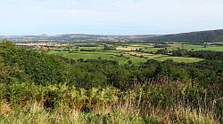 North York Moors