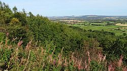 North York Moors