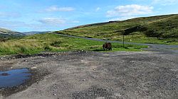 Yorkshire Dales