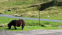 Yorkshire Dales