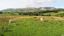 Yorkshire Dales