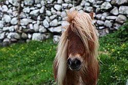 Wales - Snowdonia: westkust