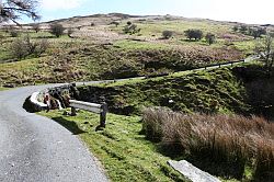 Wales - Snowdonia: Nannau