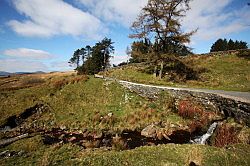 Wales - Snowdonia: Nannau