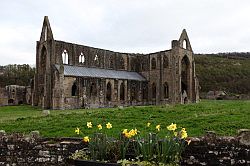 Tintern Abbey