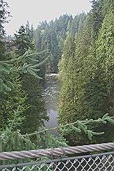 Uitzicht van de Capilano hangbrug