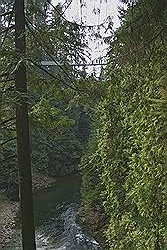 Capilano hangbrug hoog in de lucht