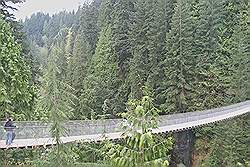 Capilano hangbrug