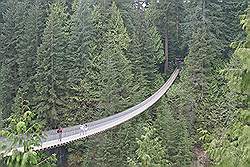 Capilano hangbrug