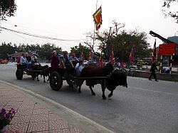 Vietnam - Tam Coc