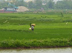 Vietnam - Tam Coc