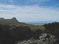 Natuurpark 'Kaap de Goede Hoop' - in de verte Kaap Punt