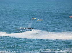 Hermanus - twee walvissen voor de kust; moet een mooi gezicht zijn vanuit de kano's