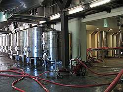 Wijngebied - wijnhuis Rustenberg; wijnvoorraad