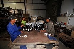 Cederberg - winery; echt handwerk