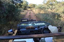 Mziki Safari Park - op safari